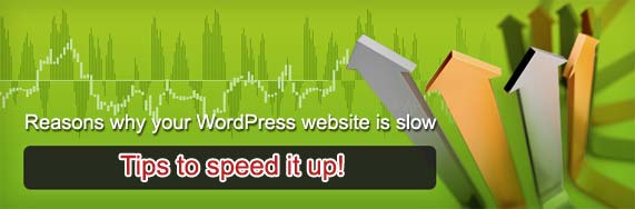 Tips to speed up your website